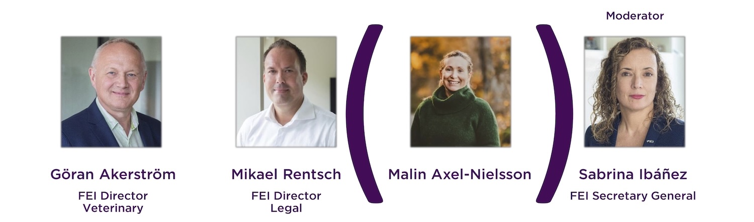 FEI Sports Forum 2024: Session 1 covered a much-awaited report