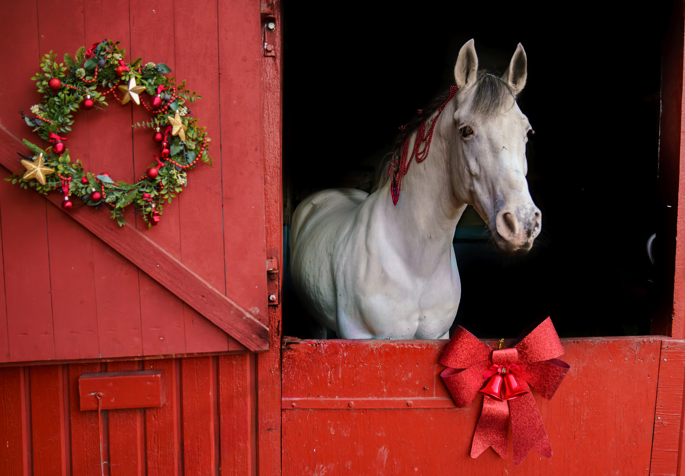 A few things to do before Santa arrives